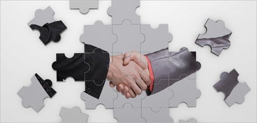 湖南软件外包服务市场 探寻专业程度高的服务公司